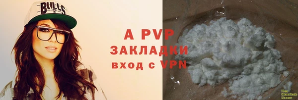 стафф Осташков