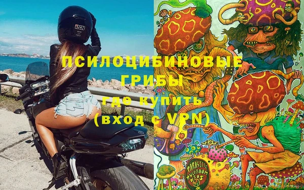 стафф Осташков
