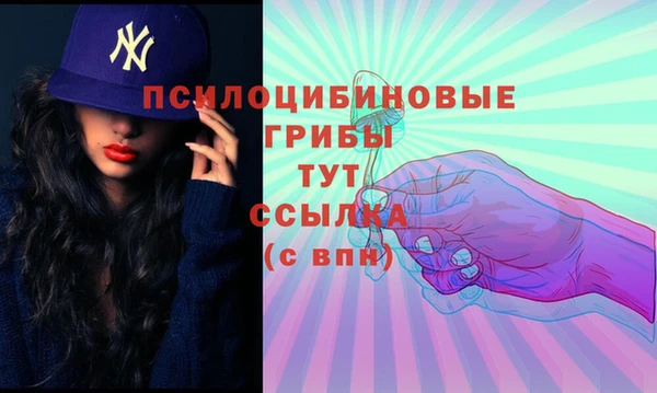 стафф Осташков