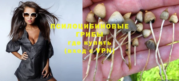 стафф Осташков