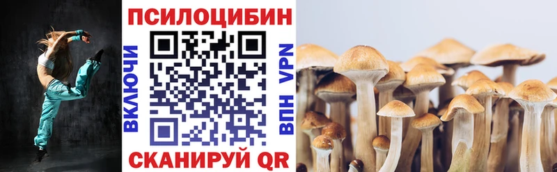 Купить где  Свирск  Псилоцибиновые грибы Cubensis 